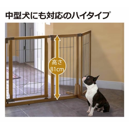 ؐhAtybgQ[gg