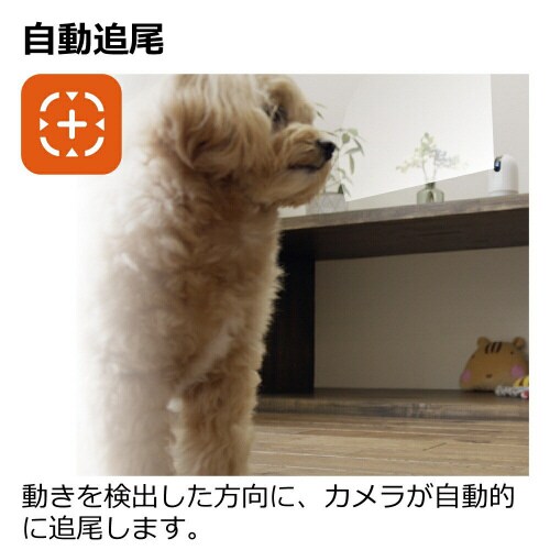 J@knnj