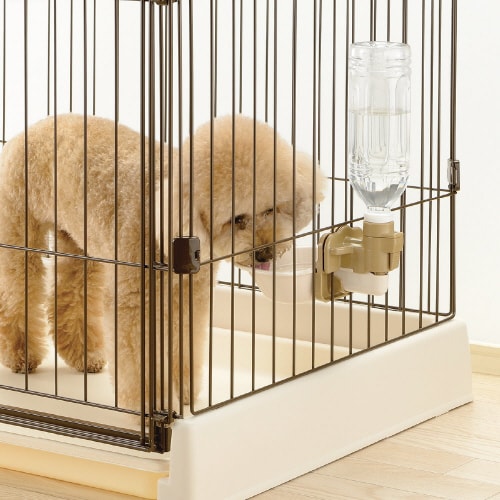 �h�b�O�E�H�[�^�[�f�B�b�V��