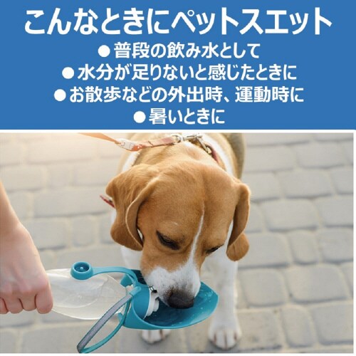 ybgXGbgvX@̌Nێ