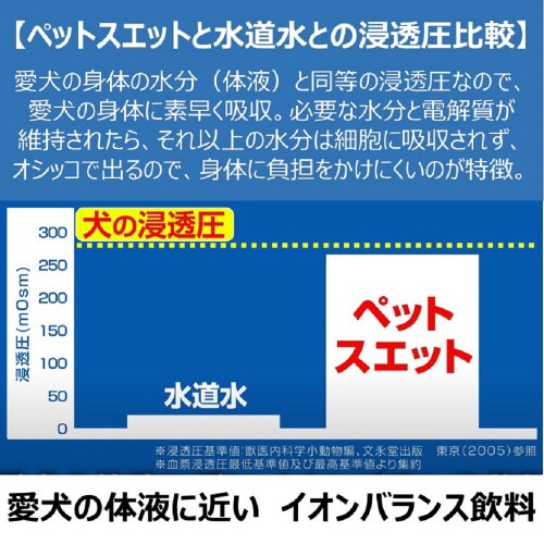 ybgXGbgvX@̌Nێ