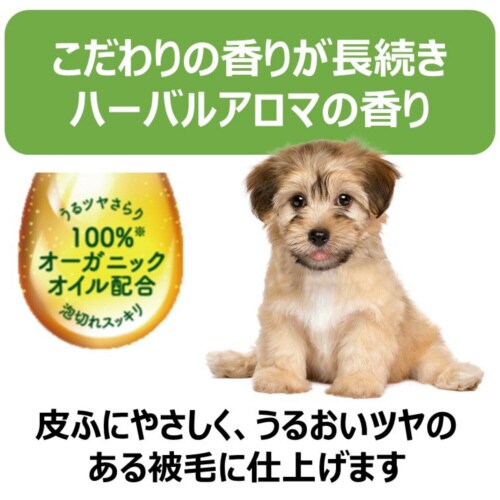 {^jJVv[