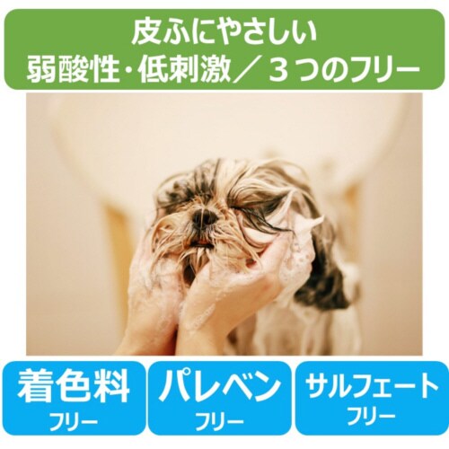 {^jJg[gg