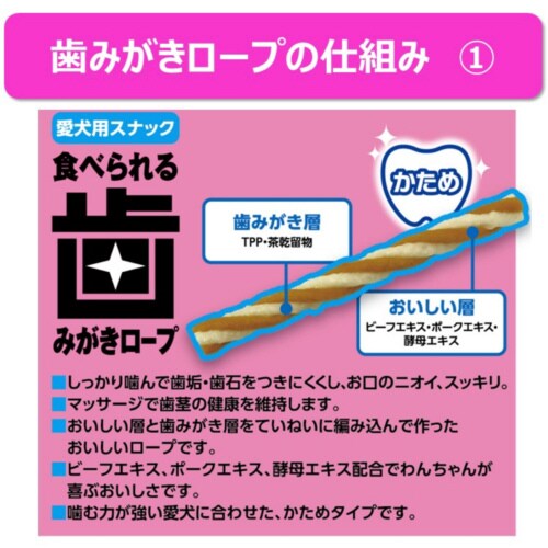 Hׂ鎕݂[vp߂r