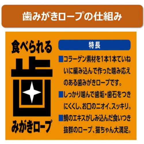 Hׂ鎕݂[vLpR[Q