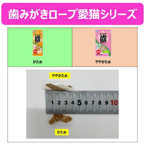 Hׂ鎕݂[vLp₩