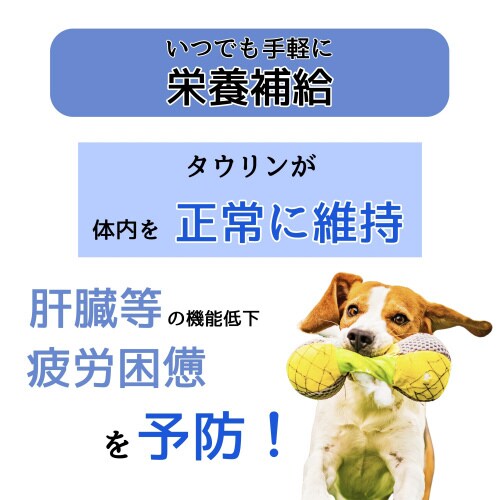 J[@p[