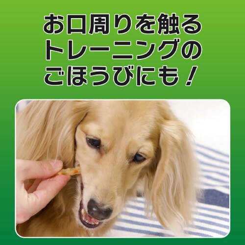 odsjhrr@݂̎