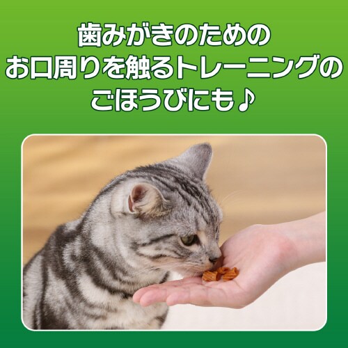 odsjhrr@lR݂̎
