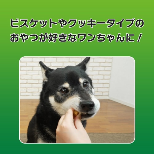 odsjhrr@݂̎