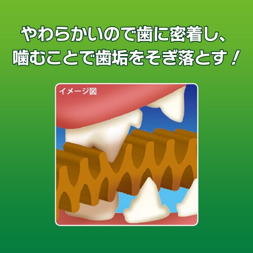 odsjhrr@lR݂̎