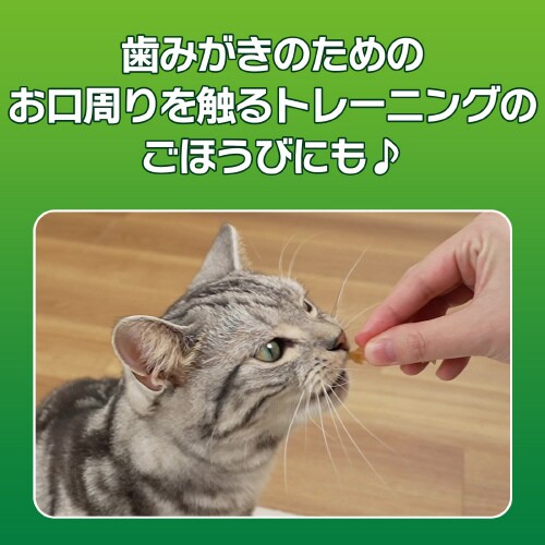 odsjhrr@lR݂̎