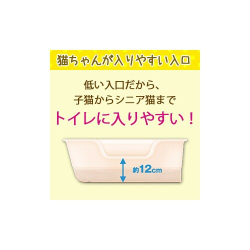 btJ@jICƂ鍻p@LgC