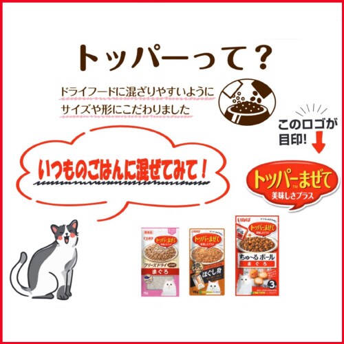 bh`n@Lp@_炩ӂӂ킩