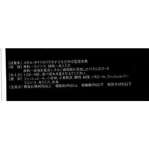 Rbg@_JE싛̎H