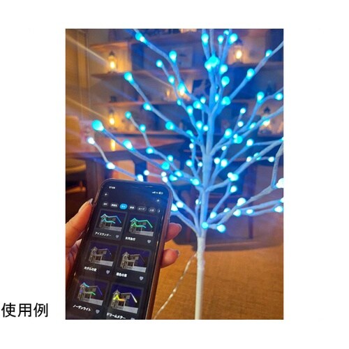 kdcX}[gzCgo[`NX}Xc