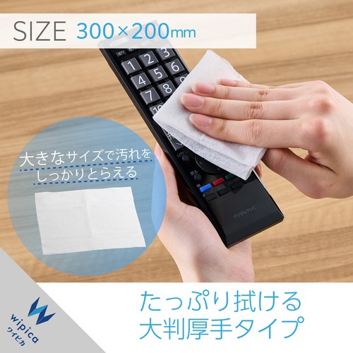 ウェットティッシュ 50枚入2個パック アルコール