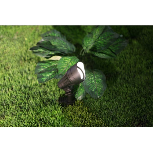 Cg