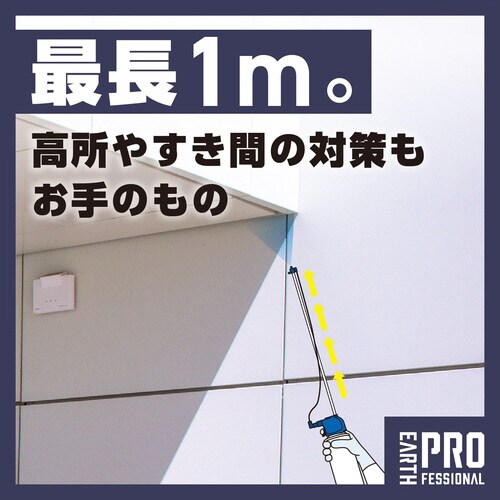 Ɩp@ubN@N̑pAeimY