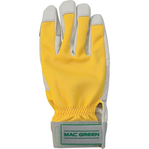 l`w@X̒ԁ@hU܁iI΍J[j@kTC