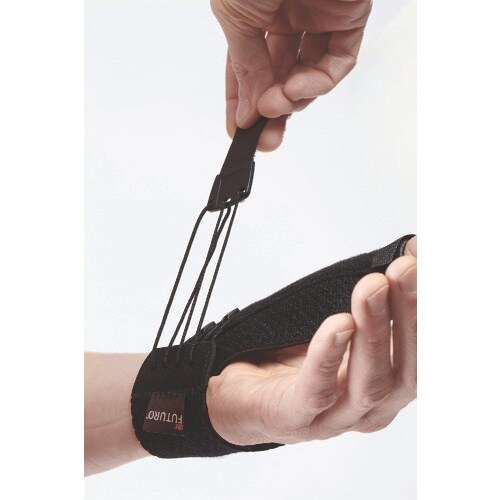 Rl@tcT|[^[@ew@یpiӂ