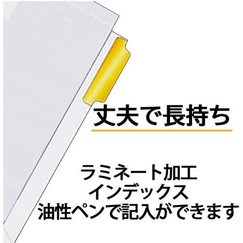 @t@CpJ[@~l[g^uC
