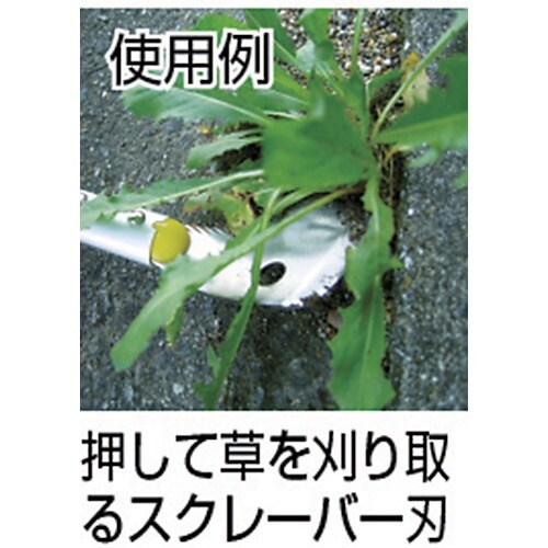 L@R@ܑ芙