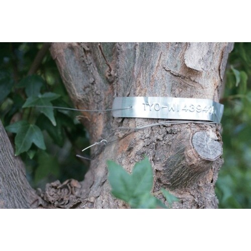 _C@l[POPPp@A~e[v̂t@PQ