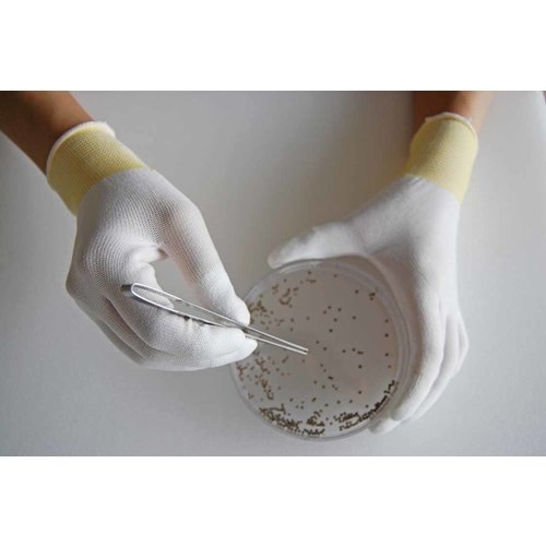 rgnv`@܂ƂߔȈՕgbvtBbg܂P