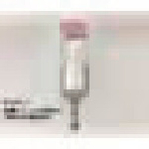 TP[@̓XtbN@v`@i}Olbgj