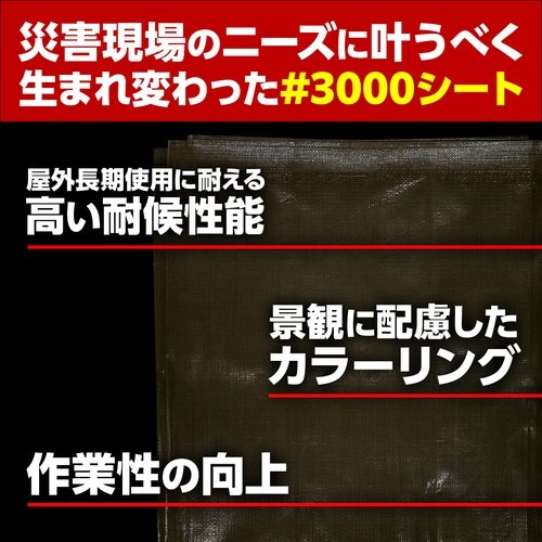 @^[s[@hЁEЃV[gROOO@ncO
