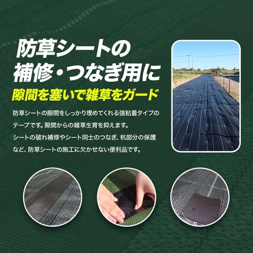 @^[s[@OhoAe[vi؂ꐫj@
