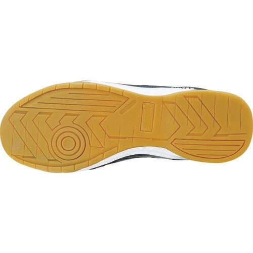 ACgX@Z[teBV[Ystksdw@݁@