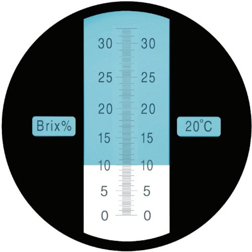 @莝܌vqV[Y@rj|QOOqiOPX