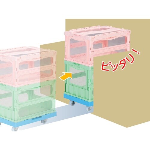 TR[@t^̌^܂肽݃Rei[@TTXP