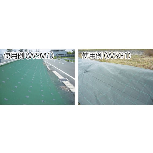 `nh@hV[gEB[hV[gps
