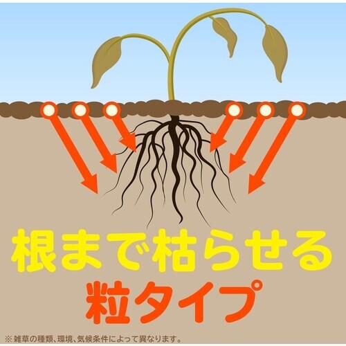 A[X@̑R@^CvR