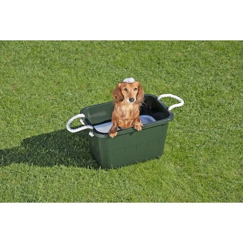 snman@g{p^^uЂtQS@XO[