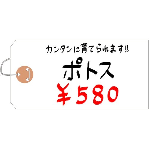 TTK@ϐ׎D@