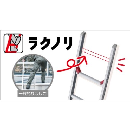 nZK@nZK@NmPA͂SDOXli