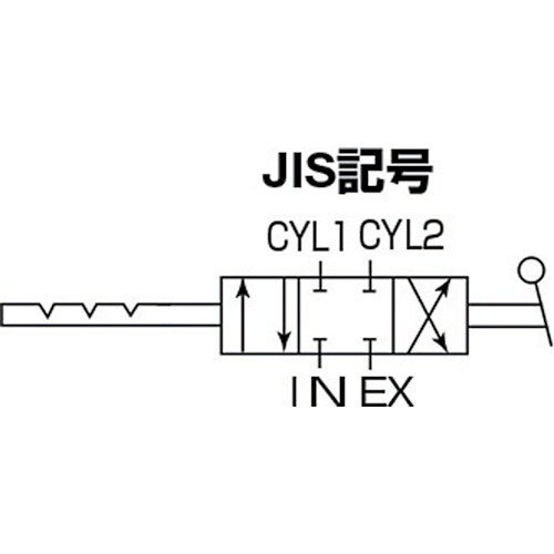 bjc@蓮ؑ֕كX^_[h^Cv