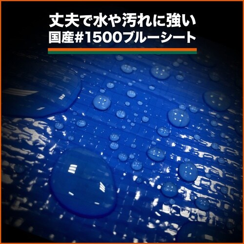 sqtrbn@~ju[V[g[@PTOO@