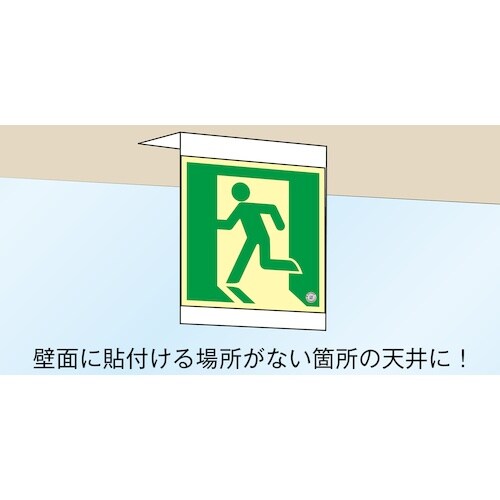 Ώ\@Px~XebJ[Wpv[g@Vp
