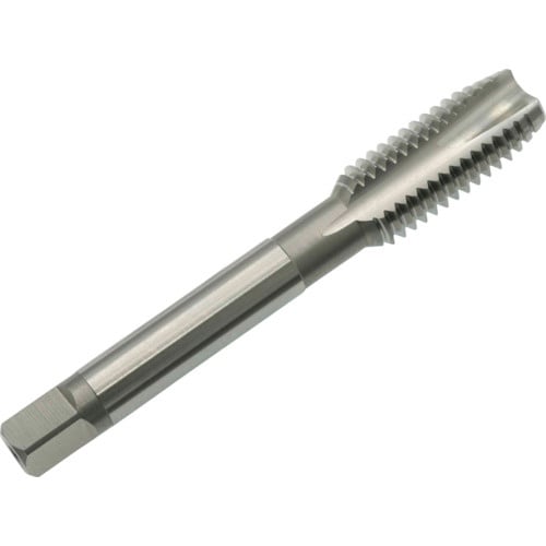 }@ޗp|Cg^bv@dg|on@oT@