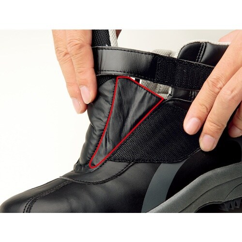 ~hS@hƌC@lor|PRT@QTDO@