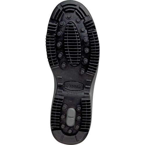 ~hS@ȈՖh@hƌC@lor|PTT@