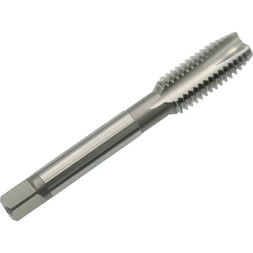 }@ޗp|Cg^bv@dg|on@oS@