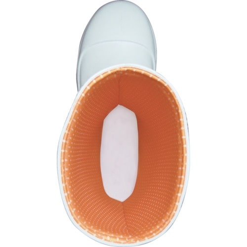 l`qtfn@Svn[NXtWVT@ubN@