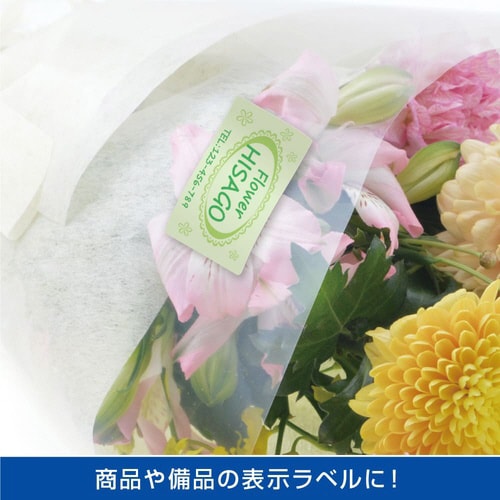 Opx@IʑΉ@`S