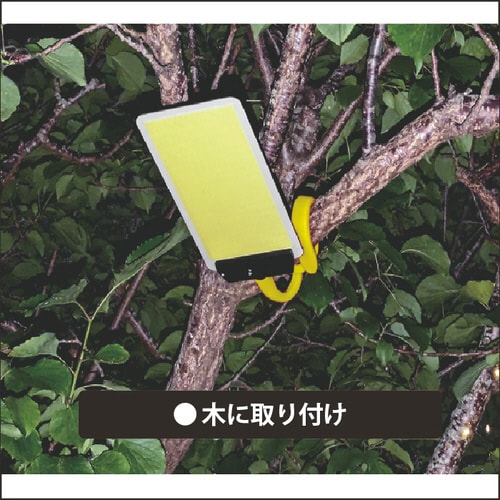 ˂˖_plCg@_CXCb`t